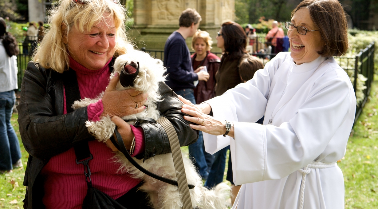2019 St. Francis Day Fair and Blessing of the Animals FAQ