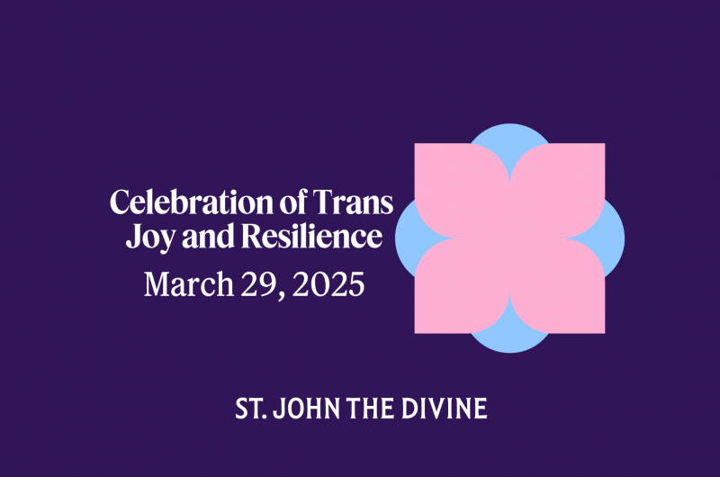 Celebration of Trans Joy & Resilience