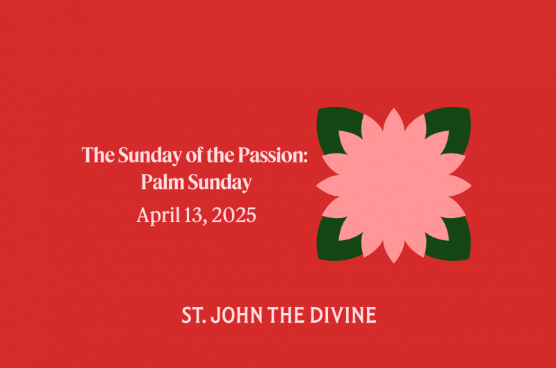 The Sunday of the Passion: Palm Sunday