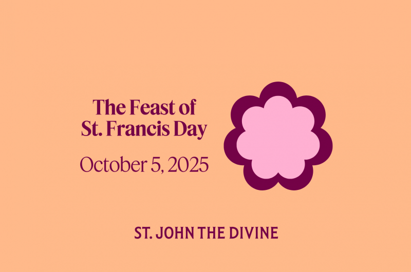 The Feast of St. Francis