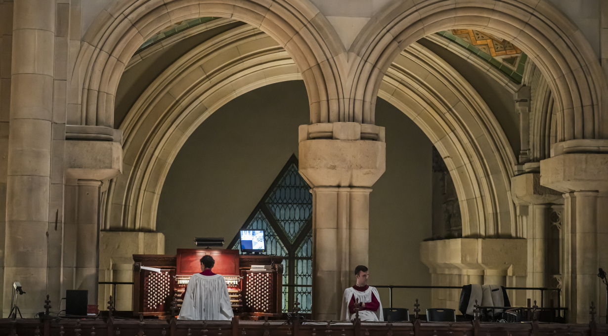 Spotlight Tour: The Mystical World of the Cathedral